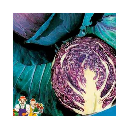 ���� ������ ������� �������������� ������� ��������� 0.2� ������ (��������� ������), ������ �� 43 ���