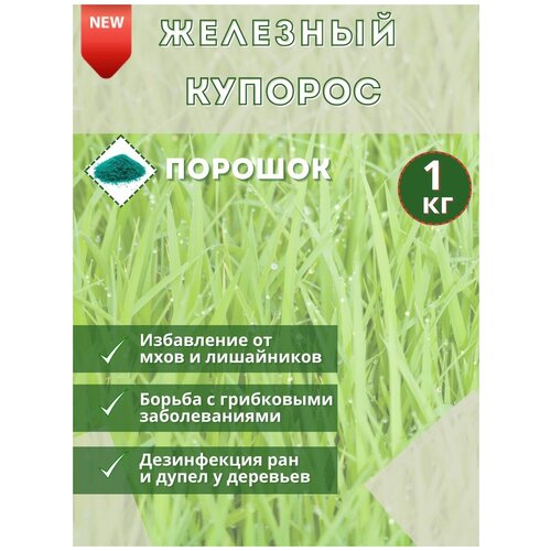   , 1 .         ,   1000 