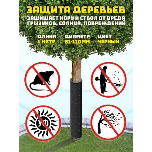 ���� ������ ������ ������ ��������� 81-110 �� / 1 �. �������� ���� � ����� �� ����� ��������, ������, �����������., ������ �� 655 ���