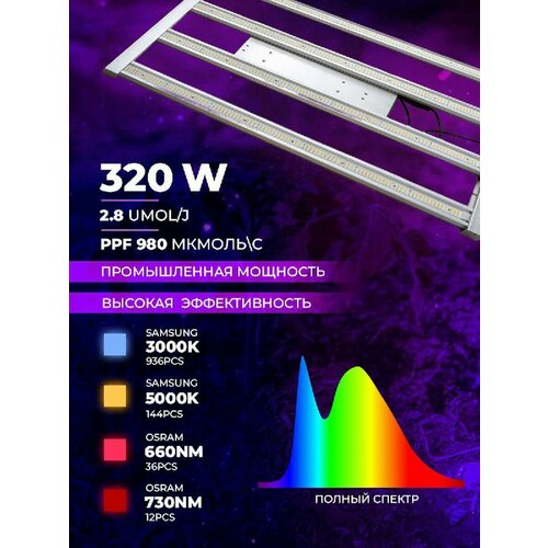 ���� ��������� ��� ������� � ��������, ������ �� 30400 ���