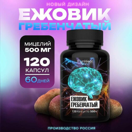 ���� ������ ����������� 120 ������ �� 500 ��, ������ �� 1245 ���