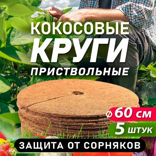 ���� ������������ ���� �� ���������� �������, ������� 60 ��, 5 ����, ������ �� 1400 ���