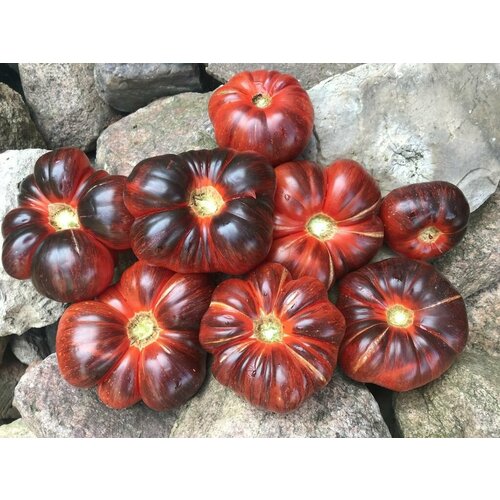 ���� ������ ������ ������� ��������� (Blue Dutchman) / Seeds And Goods / � �������� zip-lock ��� ���������� 10 �����, ������ �� 269 ���