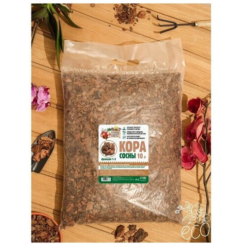 ���� ���� ����� 