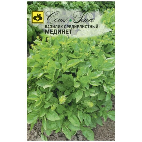 ���� ������� ������� 