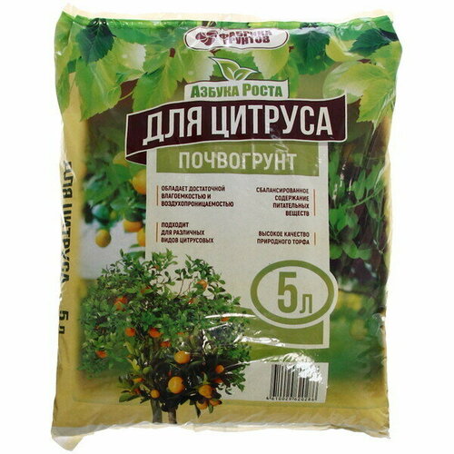 ���� ���������� ��� ������� 5 �, ������ �� 305 ���