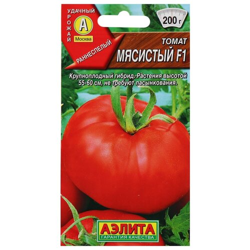 ���� ������ ����� 