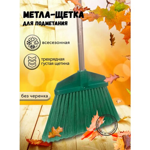 ���� ����� ������� �����, ������ �� 299 ���