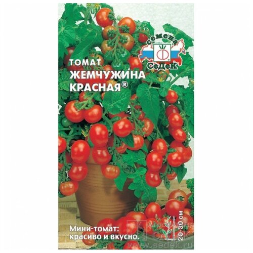 ���� ����� ��������� �������, 0,1 �, ������ �� 49 ���