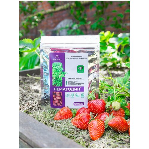 ���� ���������, ������ ��������, 100 ��, ������ �� 515 ���