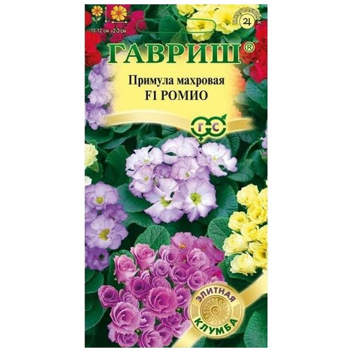 ���� ������. ������� �������� 