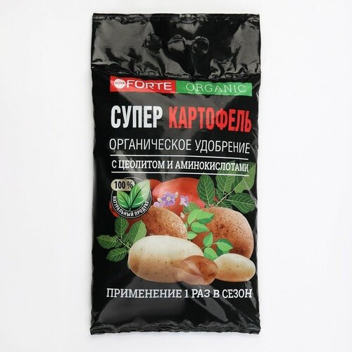 ���� ��������� Bona Forte ������������ ����� ����� 2 ��, ������ �� 570 ���