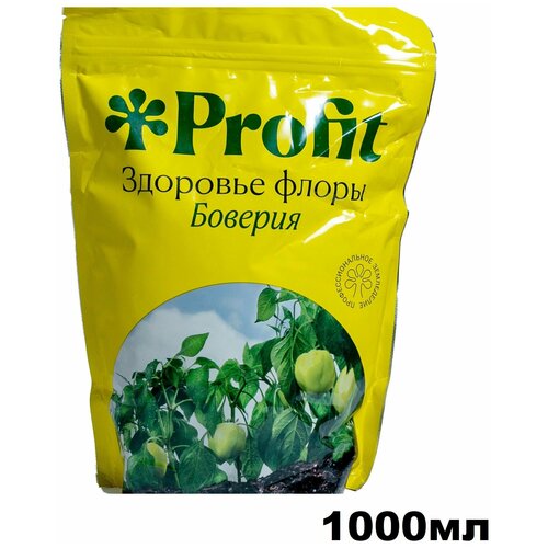  Profit  1000     -     , -, 