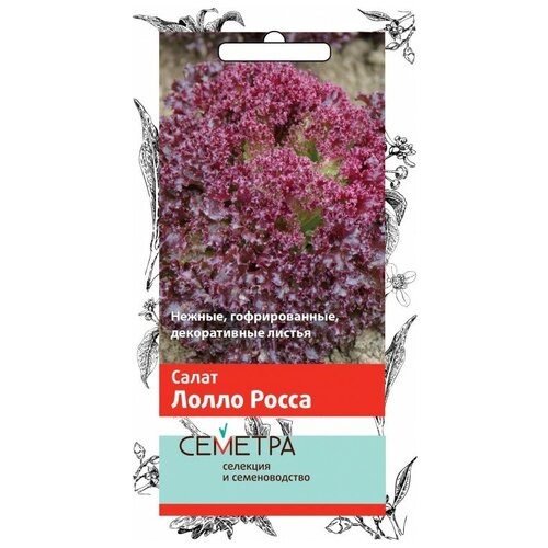 ���� ������ ����� ����� ����� 1��., ������ �� 220 ���