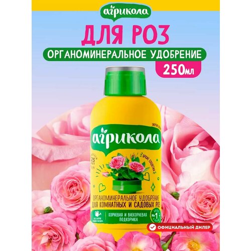 ���� ����������������� ��������� 