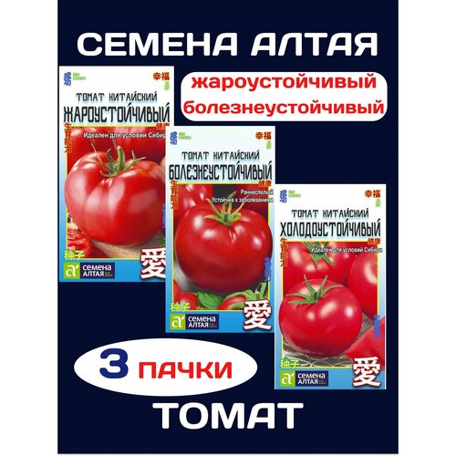 ���� ������ ����� ����� ��������� �����������������+ ��������������+���������������� (3 �����), ������ �� 387 ���