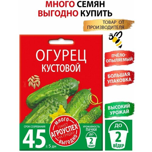 ���� ������ ��������, ������ ��������� �����-������� 3�, ������ �� 141 ���