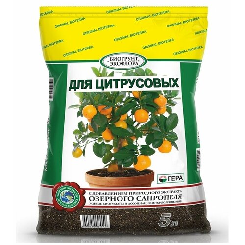 ���� �������� ���� ��� ����������, 5 �, ������ �� 218 ���