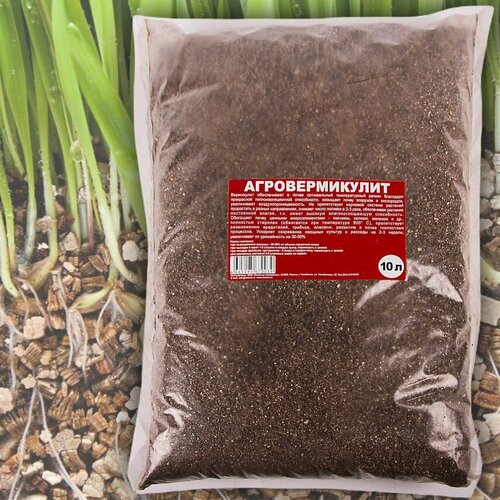 ���� ���������� ��� �������� 10 � ��� ������, ������-��������� ������� � ��������� ��������, ������ �� 569 ���