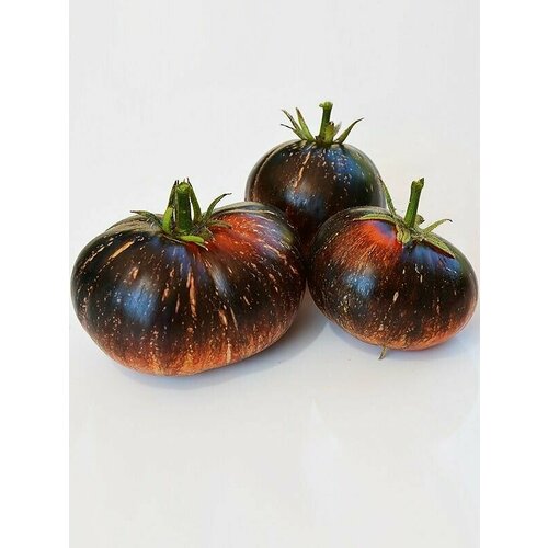 ���� ������������� ������ ������ Ҹ���� ���������, ������ �� 104 ���