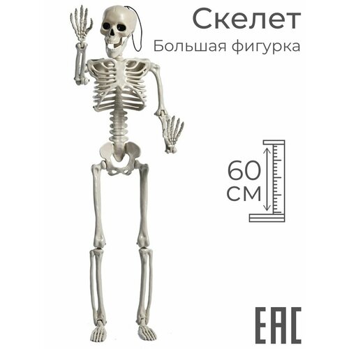 ���� ������� ������ �������� ��������� �� ��������, 60 ��, ������ �� 2725 ���