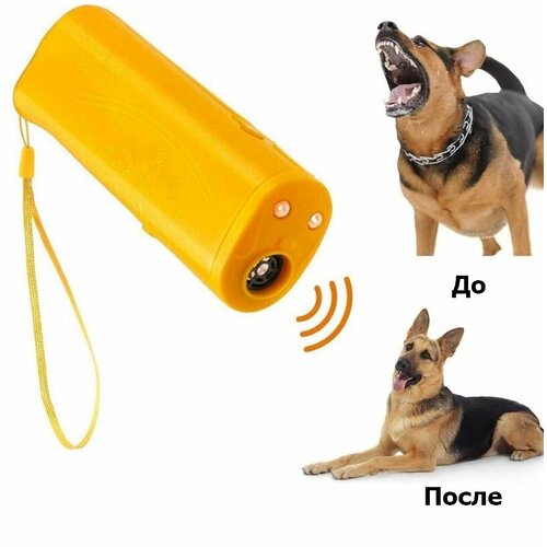 ���� �������������� ������������ ����� 3�1 Training dog, ������ �� 589 ���