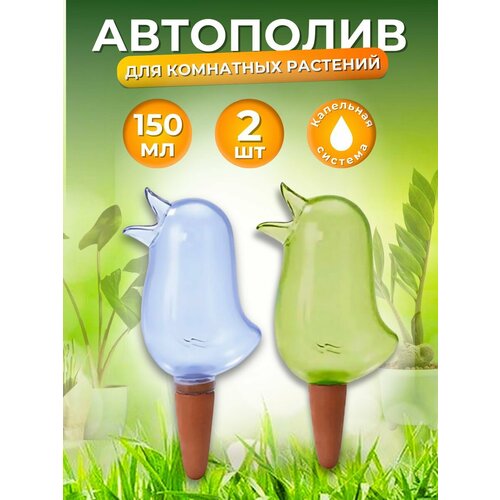 ���� ������� ������ ��������� ��������� ��������, ��������� �����, ������, ��������� �����, ������ �� 610 ���