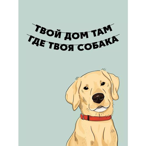 ���� �������� �������� �� ���� ������ - ���� ������, ������ �� 900 ���