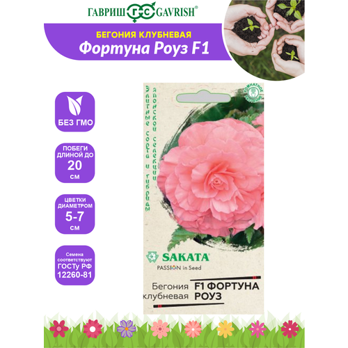 ���� ������ ������ ��������� ������� ��������� ������� ���� F1, �������, ��������, 4 ��., ������ �� 106 ���