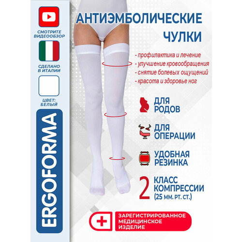    () Ergoforma EU 267, 2 ,  1,   1579 