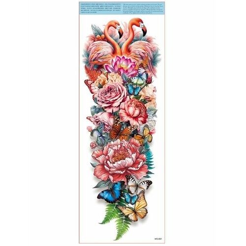 ���� ���������� ��������� ���� ����� �� �������� / 45 � 17 �� ����, ������ �� 560 ���