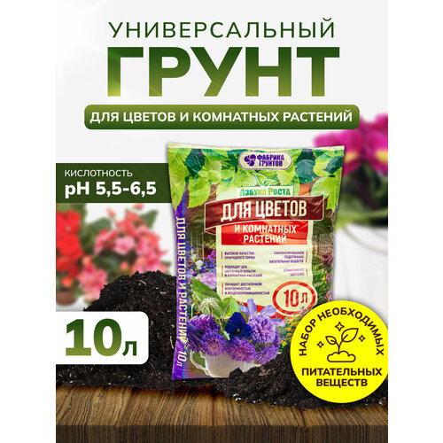 ���� ����� ��� ������ ������������� 10 ������, ����� ��� �������, ����������, InHome Green, ������ �� 711 ���