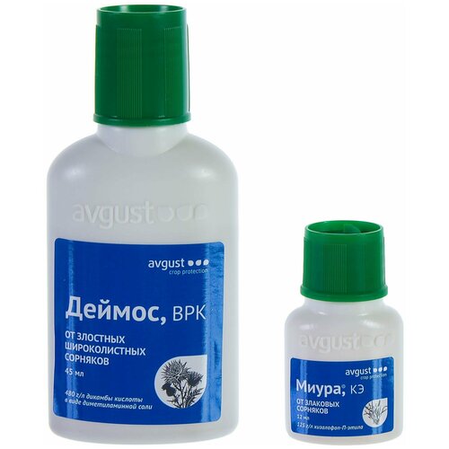 ���� �������� ������ �� �������� Avgust ������ 45 �� + ����� 12 ��, ������ �� 489 ���