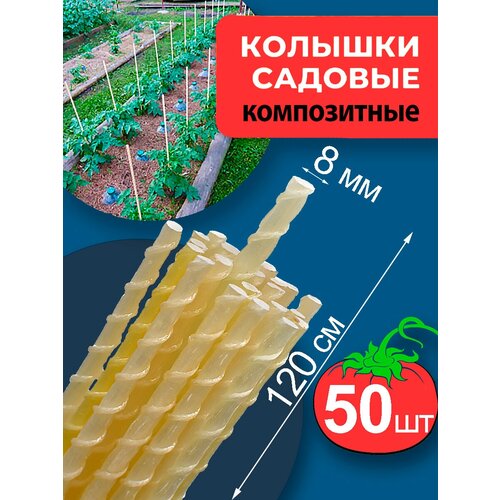 ���� ������� �� �������������� 1,2 ����� d8�� 50�� ��� �������������� ��� �������� ��������, ������ �� 1899 ���