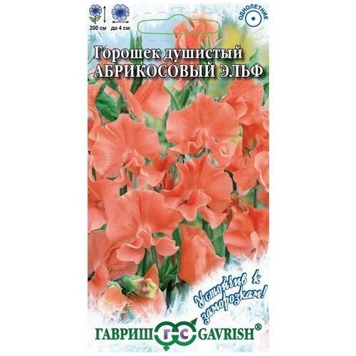 ���� ������. �������� ������� 