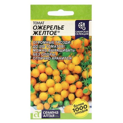 ���� ������ ����� 