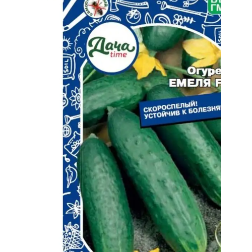 ���� ������ ������ ����� F1 10�� ������������������ (����time), ������ �� 50 ���