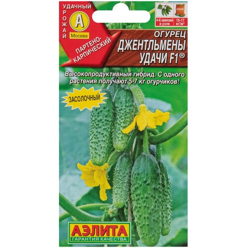 ���� ������ ������������ ����� F1 10�� ������, ������ �� 62 ���