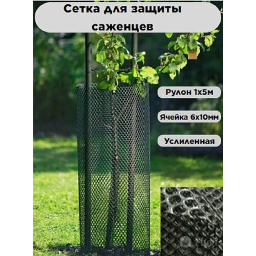 ���� ����� ��� ������ �������� ������ 6�10 �� ����� 1�5�, ������ �� 1615 ���