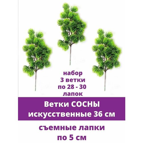 ���� �����, ������� ����� �������������, ����� ������, ��������������, ����� 3 �����, 36 ��, ������ �� 704 ���