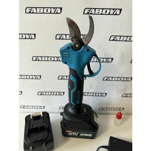 ���� ������� �������������� , ������� ������������� , ��� ������������ �� 4 ��, ������ �� 5500 ���