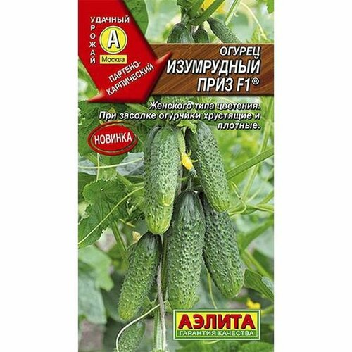 ���� ������ ������ ���������� ���� F1 ����, ������������, (������) 10��, ������ �� 59 ���