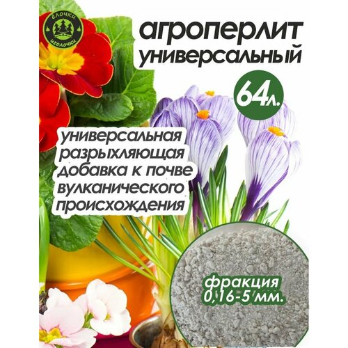 ���� ���������� ��� �������� � ������ 64 �����, ������ �� 1700 ���