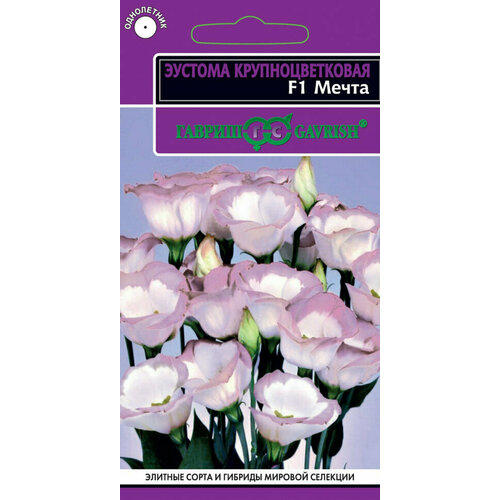 ���� ������ ������� ����� F1, 4��, ������, 10 ��������, ������ �� 1395 ���