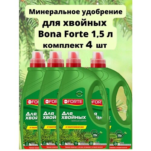       Bona Forte  1,5 (4 ),   2550 