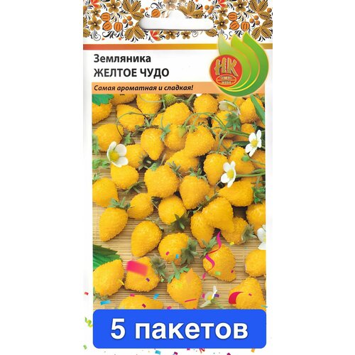 ���� ������ ������ ������� ������ 