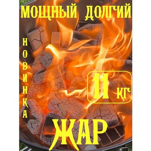 ���� ����� � �������� 11 ��, ������, � �������., ������ �� 3499 ���