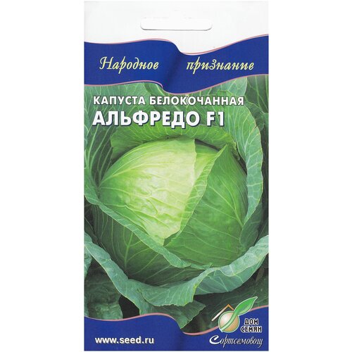 ���� ������� ������������ �������� F1, 12 �����, ������ �� 284 ���