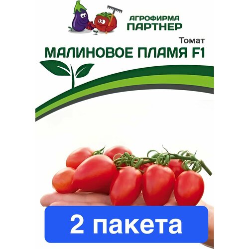 ���� ������ ������ ��������� ������� 