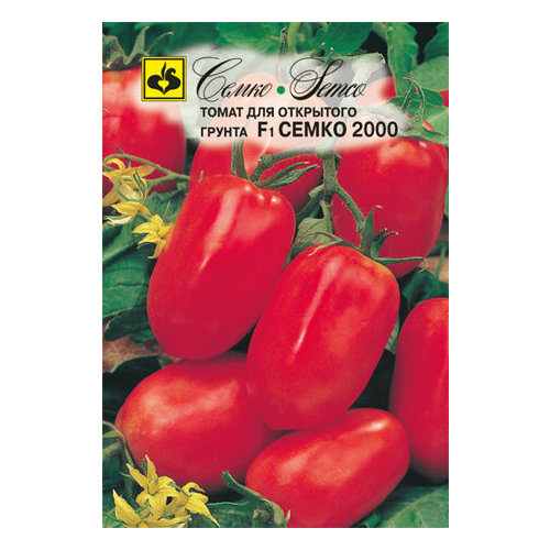     2000 F1 0.2   (),   91 